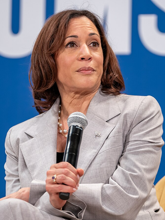 Kamala Harris Calls Cleaning Voter Rolls 'Cheating' — Same Day Reuters Finds 30,000 Non-Citizens Registered