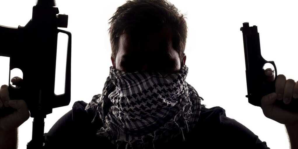 Shadow Radicals Exposed – These Dems Want To Take EVERYTHING From You