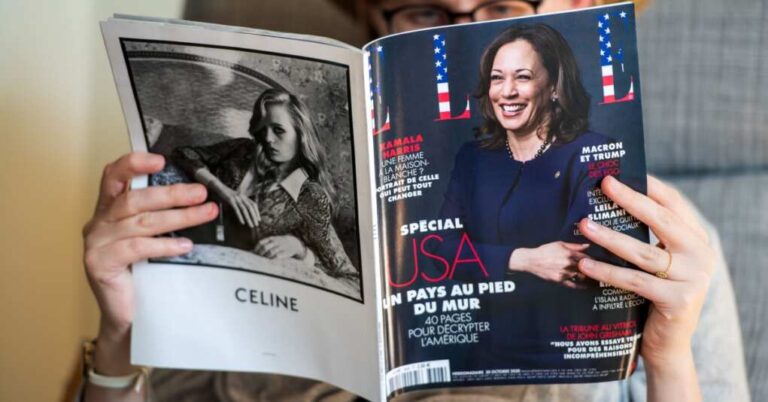 MSNBC Pundit Says He “Fell In Love With Harris,” Other Disgusting Over-the-Top Reactions From the Left MSNBC Pundit Says He “Fell In Love With Harris,” Other Disgusting Over-the-Top Reactions From the Left