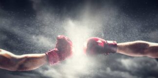 PHOTOCREO Michal Bednarek / shutterstock.com