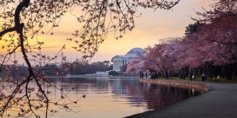 Chaos In DC As Gunman Downs Two People