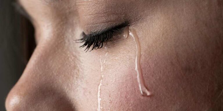 Tears and Protests Erupt Over ‘Alligator Alcatraz’ Plan