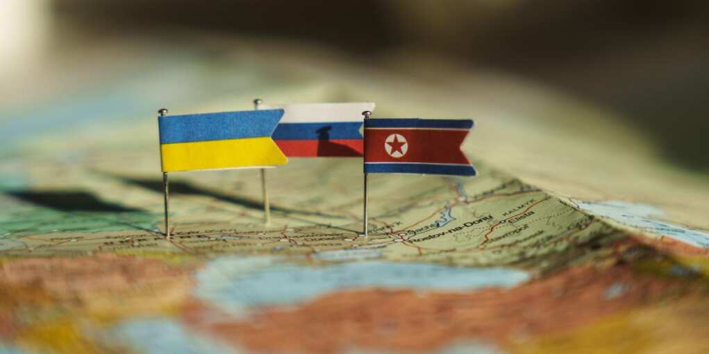 Rokas Tenys / Shutterstock.com